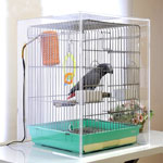 Pennzoni on sale bird cages